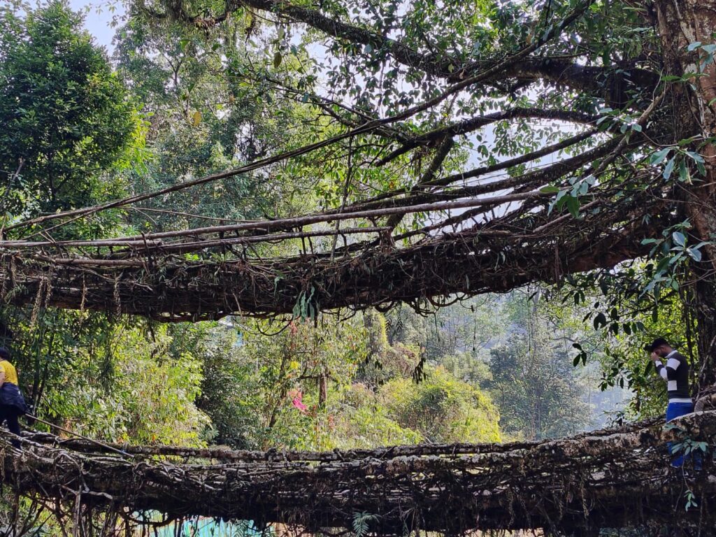 Assam Meghalaya Trip Mistakes