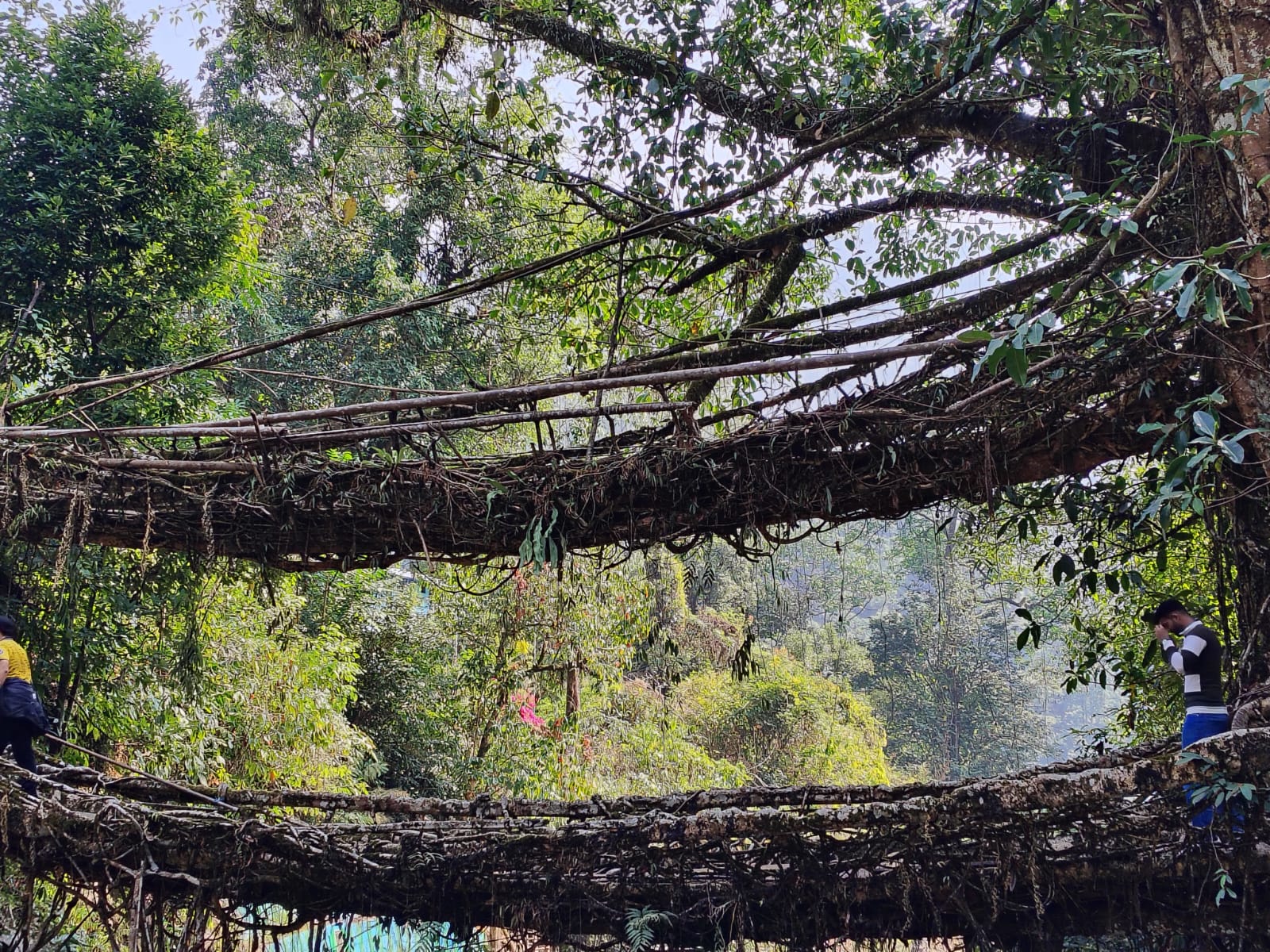 Assam–Meghalaya Trip Mistakes We Made