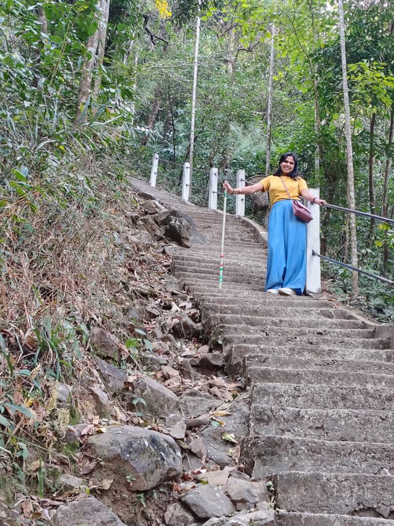 On the Way to Double Decker Root Bridge