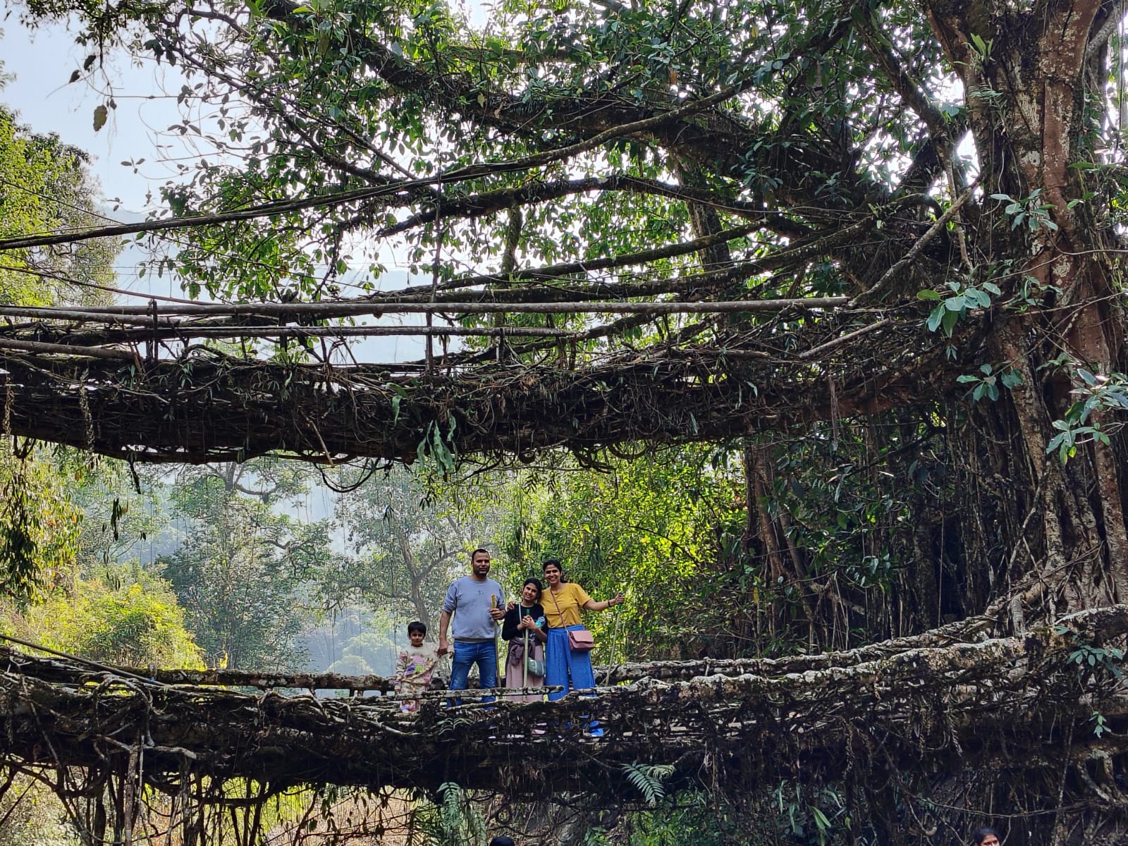 Double Decker Root Bridge Trek With Kids – Honest Reality