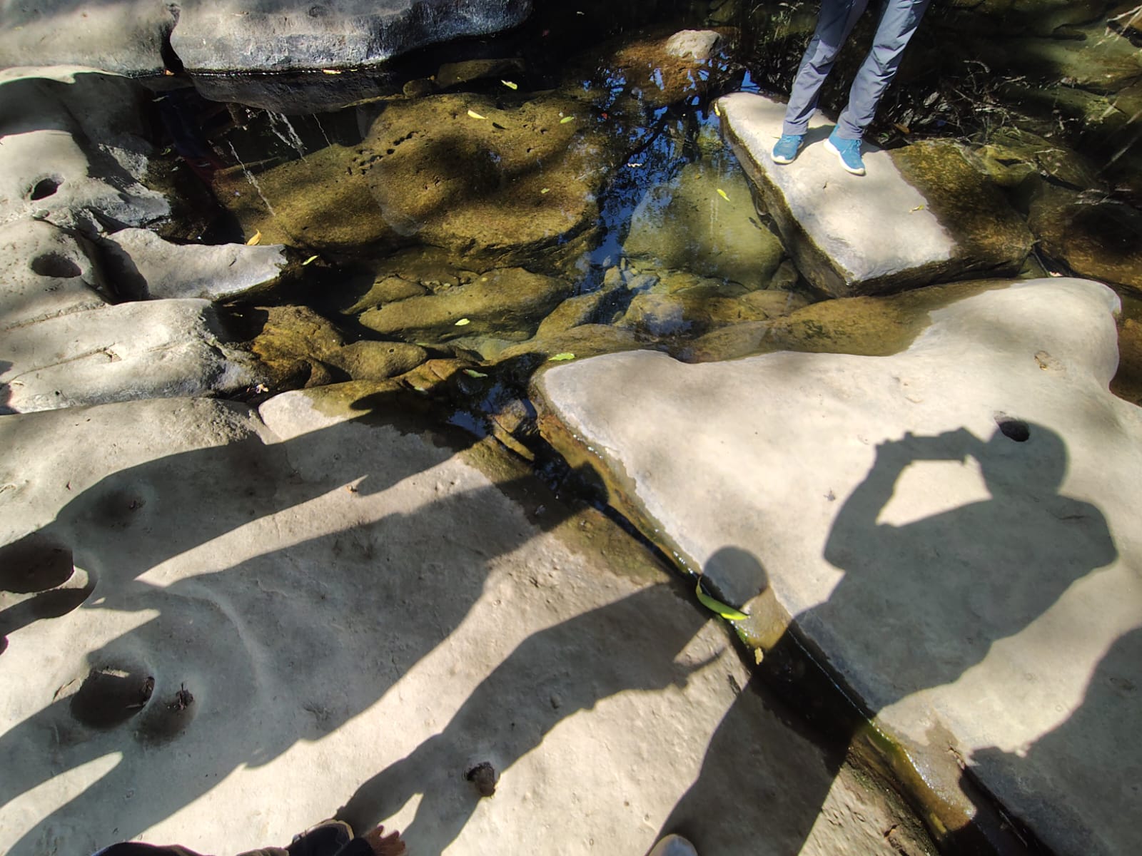 Activities to Enjoy During an Assam & Meghalaya Trip (With Real Costs)