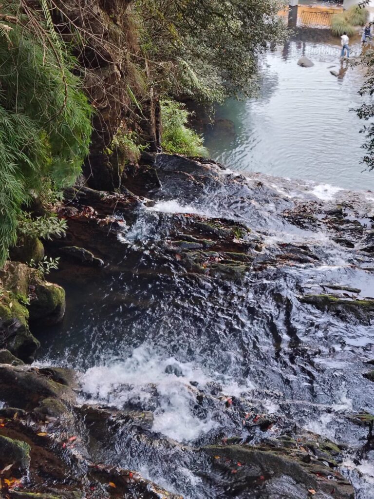 Shillong Sightseeing Experience