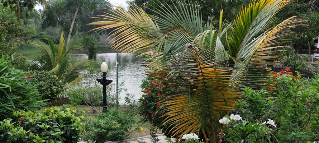 Lake View - Cottage Room - Isalo Di Cocco Isola Di Cocco Review - Lake View from the Room