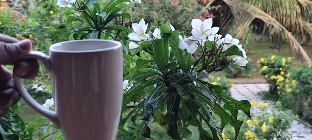 Filter Coffee