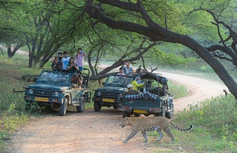 Safari gypsy on a Jhalana Leopard Safari route near Jaipur