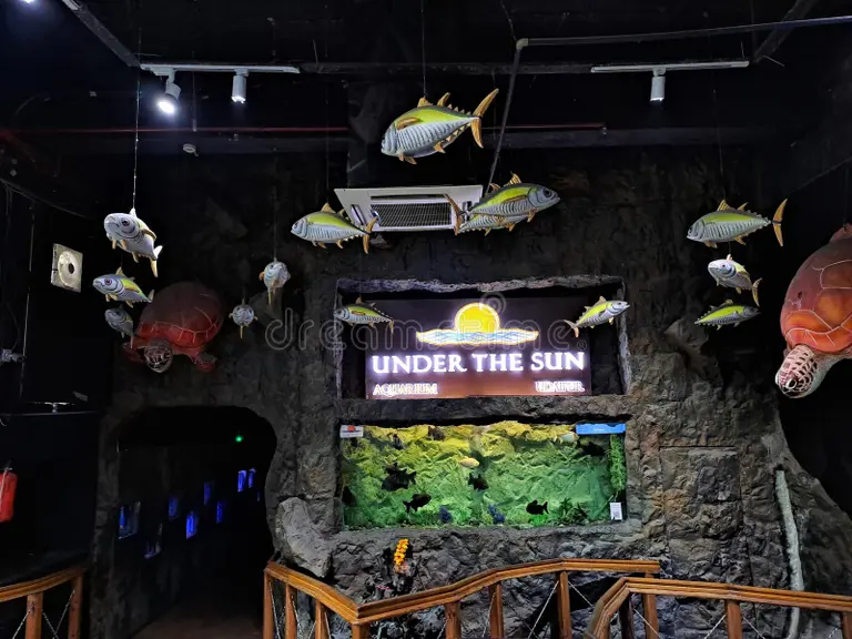 Under The Sun Aquarium Udaipur interior with tropical fish tanks