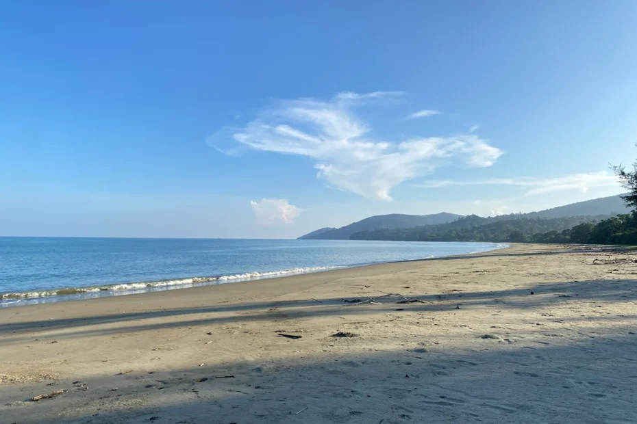 Dhani Nallah Beach, a Rangat sightseeing highlight known for turtle nesting