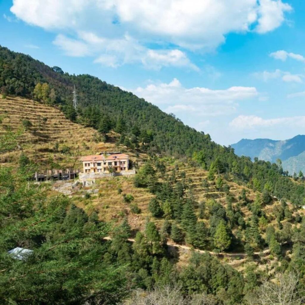 Narkanda apple orchard landscape seen on a day trip from Shimla