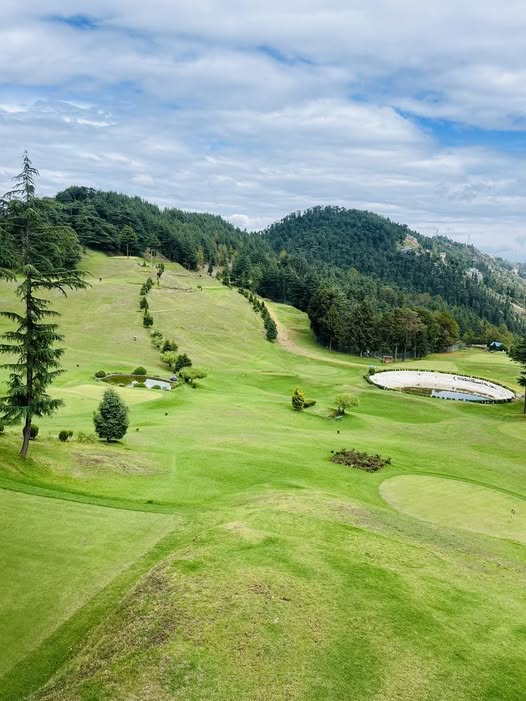 Wide shot of a historic Himalayan golf course at Naldehra surrounded by tall deodar trees, Naldehra golf course views during a Naldehra day trip from Shimla