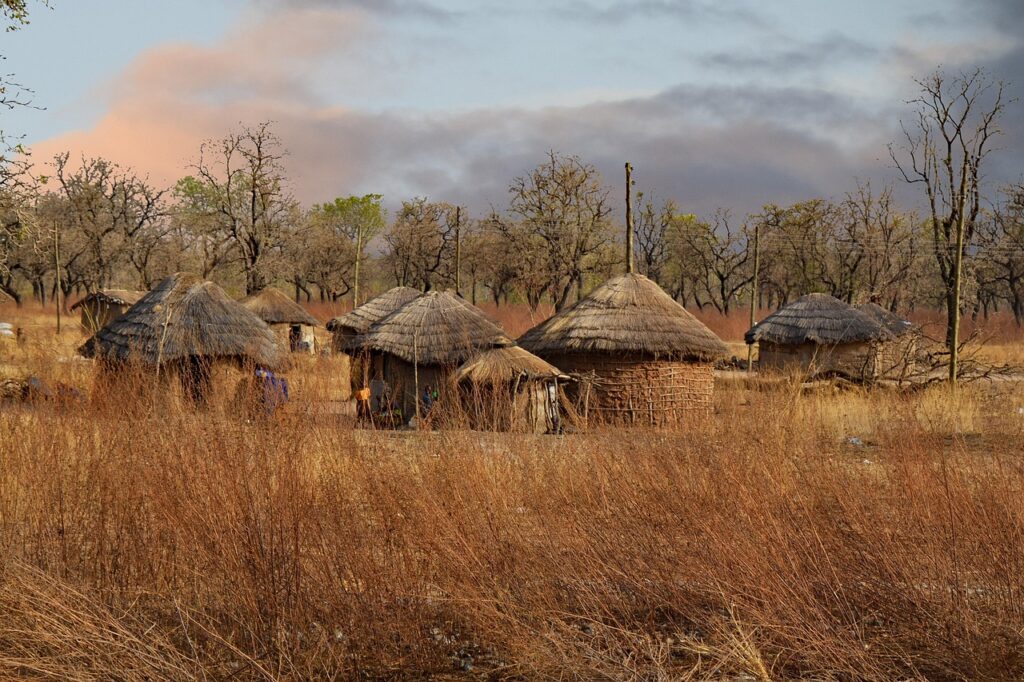 Bishnoi village day trip from Jodhpur showing traditional mud huts and grazing blackbuck