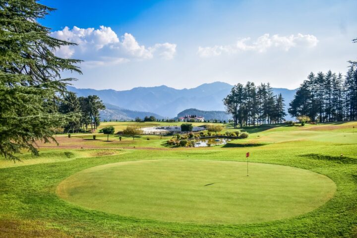 Naldehra Day Trip from Shimla: Full 2026 Guide