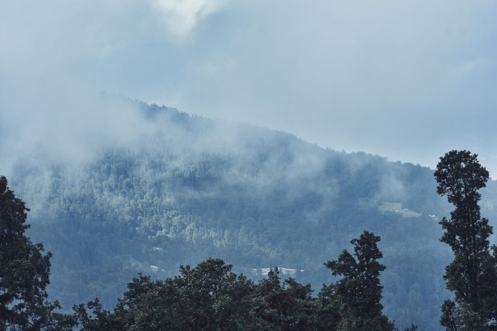 Serene misty view of forested mountains in Manali, Himachal Pradesh, India.