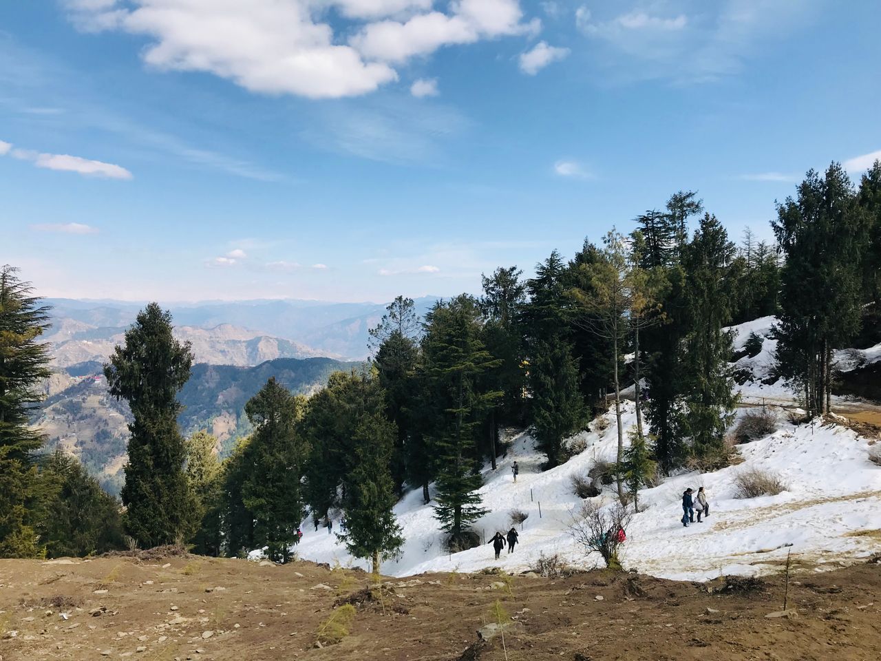 Kufri day trip from Shimla: a complete 2026 guide