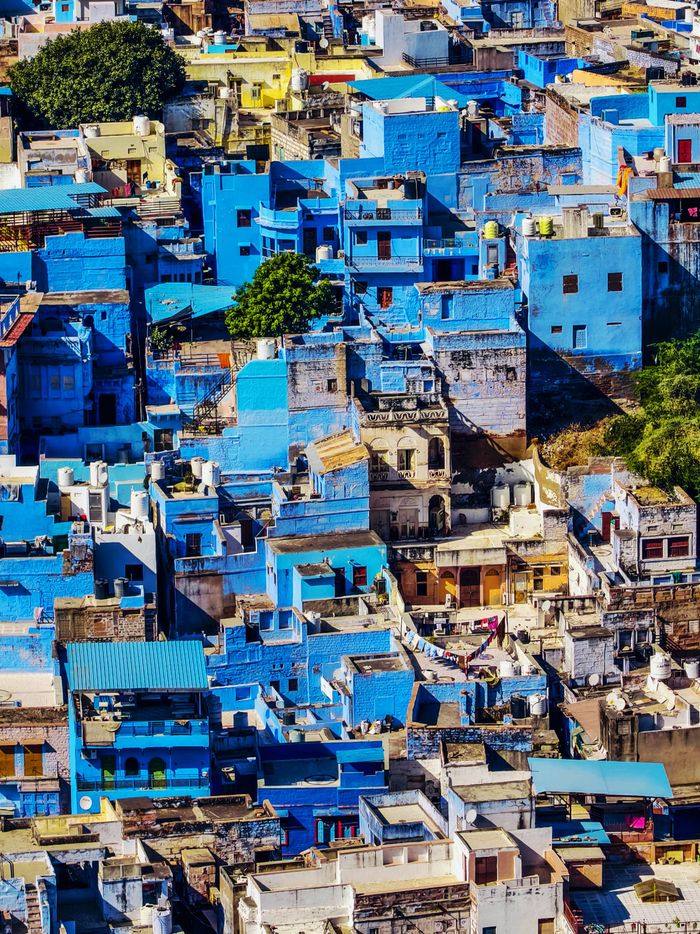 Stunning aerial view of Jodhpur's iconic blue buildings, showcasing vibrant architecture.