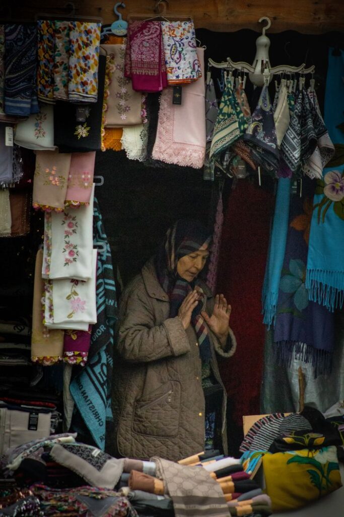 An elderly woman in a coat shops at a vibrant market displaying colorful scarves. Small local market stalls selling apples and woollens in Narkanda