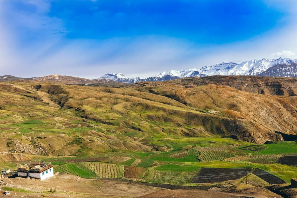 Scenic view of Langza, Himachal Pradesh with lush fields and snowy peaks. Road on the Kaza to Langza village day trip winding through barren Spiti mountains