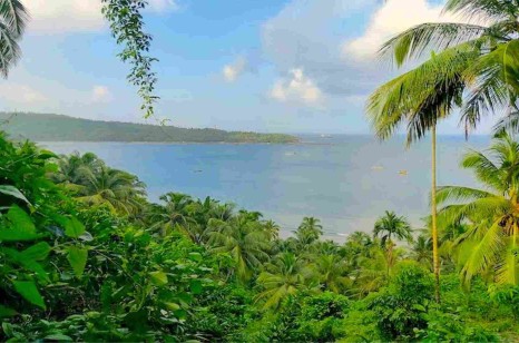 narrow forest trail inside a tropical national park in the Andaman Islands Forest trail near Mount Harriet, ideal for a nature walk on a day trip from Port Blair