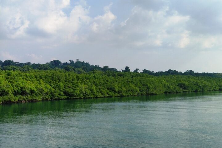 Baratang Island: Day Trip from Port Blair in 2026