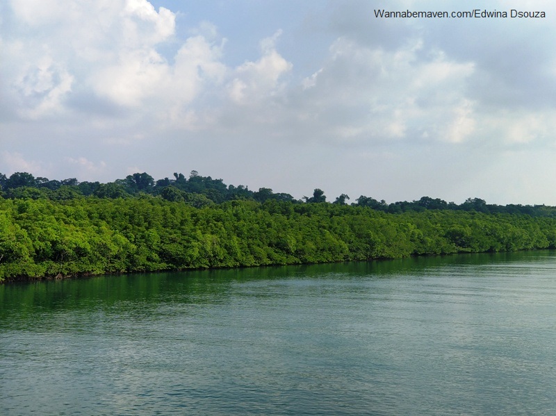 Baratang Island: Day Trip from Port Blair in 2026