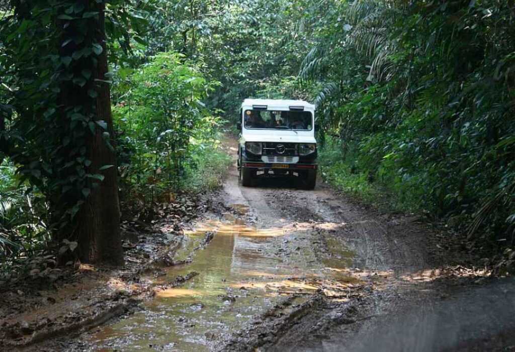 Forest jeep ride on the way to Dudhsagar, part of a Dudhsagar waterfall day trip from South Goa
