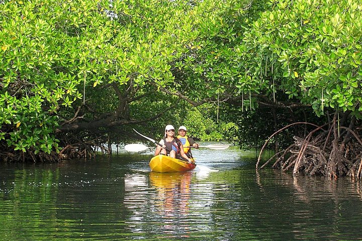 small kayak gliding through calm mangrove-lined water near Havelock Island, green reflections, soft morning light Kayaking through calm mangrove waters, one of the nature places to visit in Havelock Island