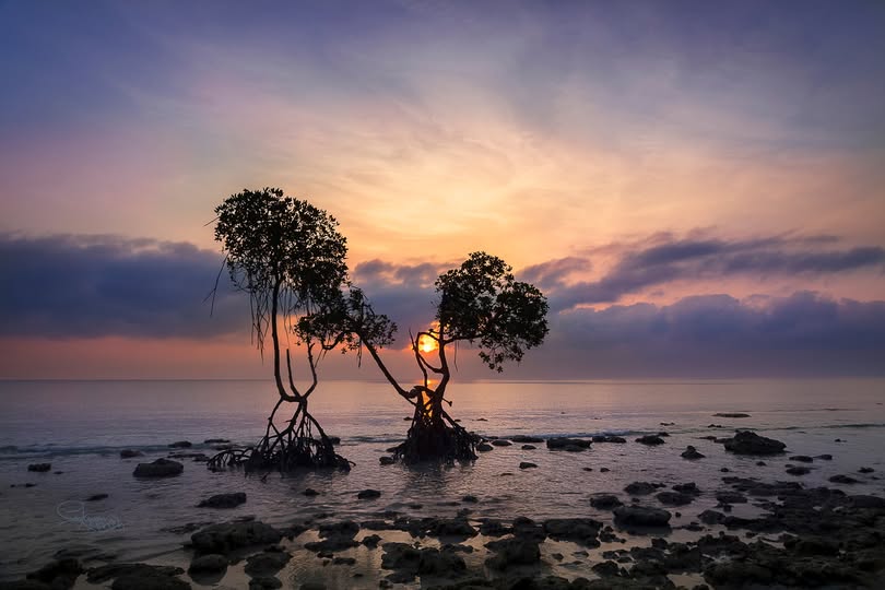 sunrise at Kalapathar Beach, Havelock Island, pale sand with dark rocks along the shoreline, calm blue sea Sunrise at Kalapathar Beach on the east coast of Havelock Island