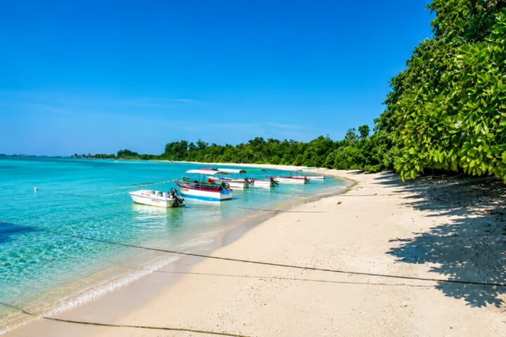 Neil Island day trip from Port Blair planned hour by hour