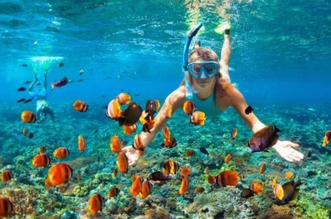 c64e2678ed092c59f6b0ff1f0a6b232d Snorkeller above coral reef during North Bay Island water sports