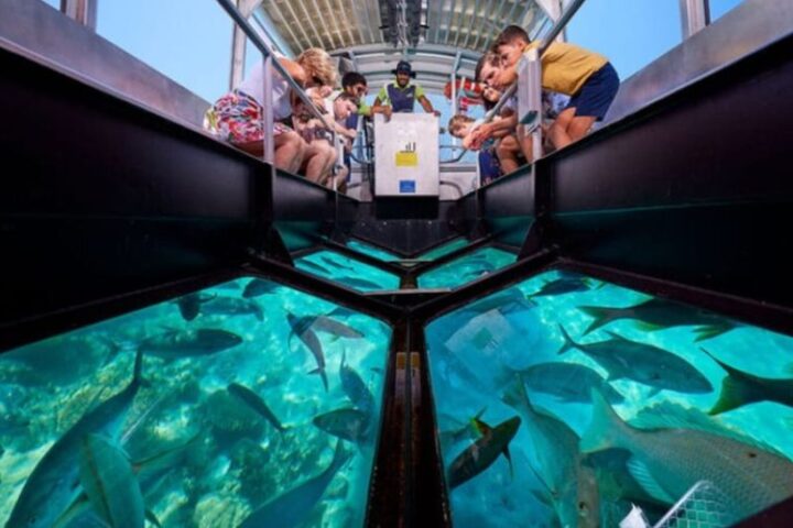Water sports in Andaman by island with prices and timings