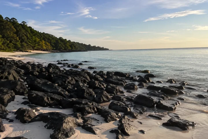 Kalapathar Beach Havelock : Guide for Sunrise and black rocks