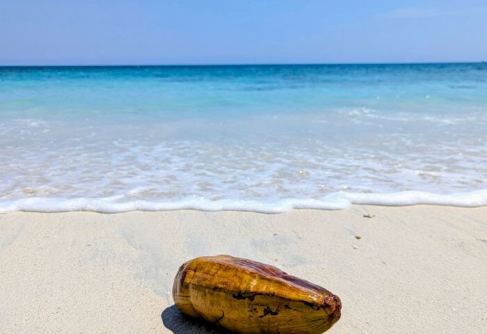 Havelock day trip from Port Blair that actually works
