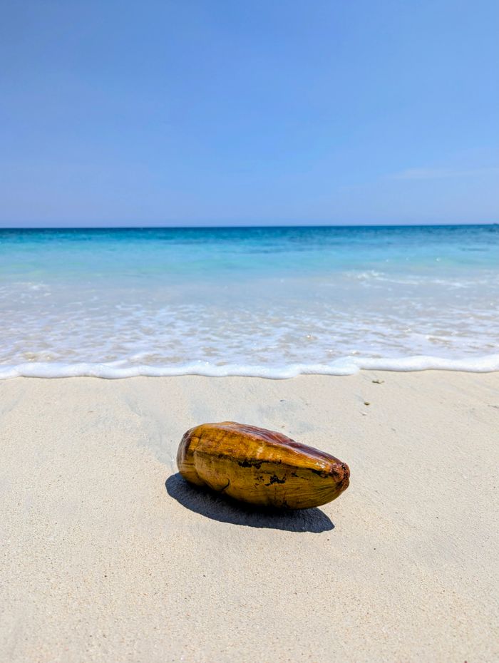 Havelock day trip from Port Blair that actually works