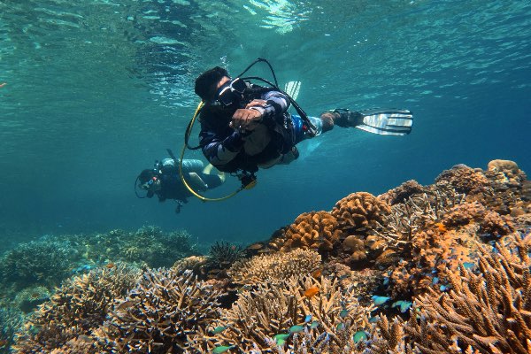 Beginner doing scuba diving in Havelock with an instructor over a coral reef
